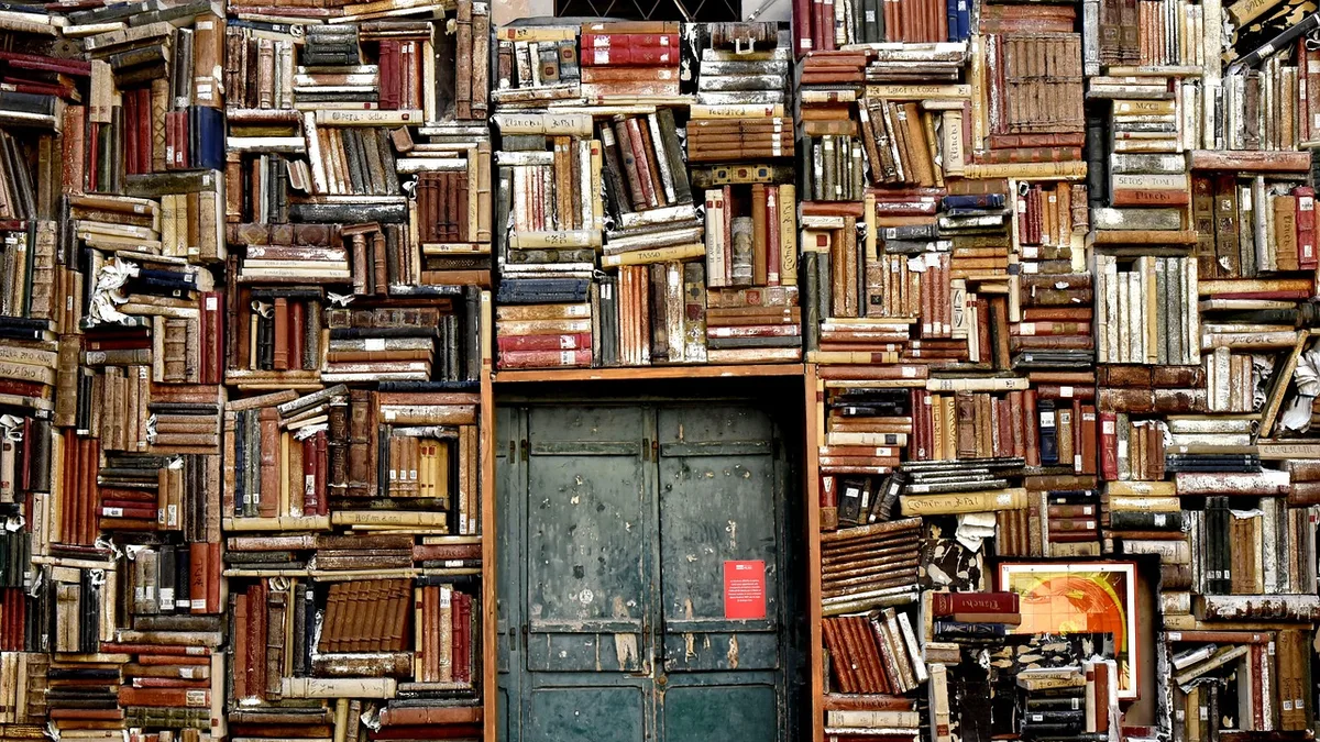 books, shelves, door, wallpaper hd, entrance, library, 4k wallpaper, knowledge, wisdom, cool backgrounds, hd wallpaper, civic museum library, windows wallpaper, free wallpaper, laptop wallpaper, international gallery of modern art, full hd wallpaper, beautiful wallpaper, 4k wallpaper 1920x1080, wallpaper 4k, pesaro, desktop backgrounds, italy, mac wallpaper, free background, background